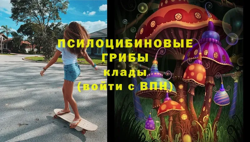 Псилоцибиновые грибы Magic Shrooms  Владимир 